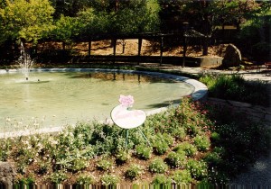 CDPC Landscape Architecture - Marin Garden Art Show