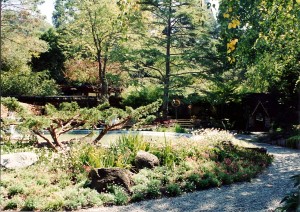 CDPC Landscape Architecture - Marin Garden Art Show
