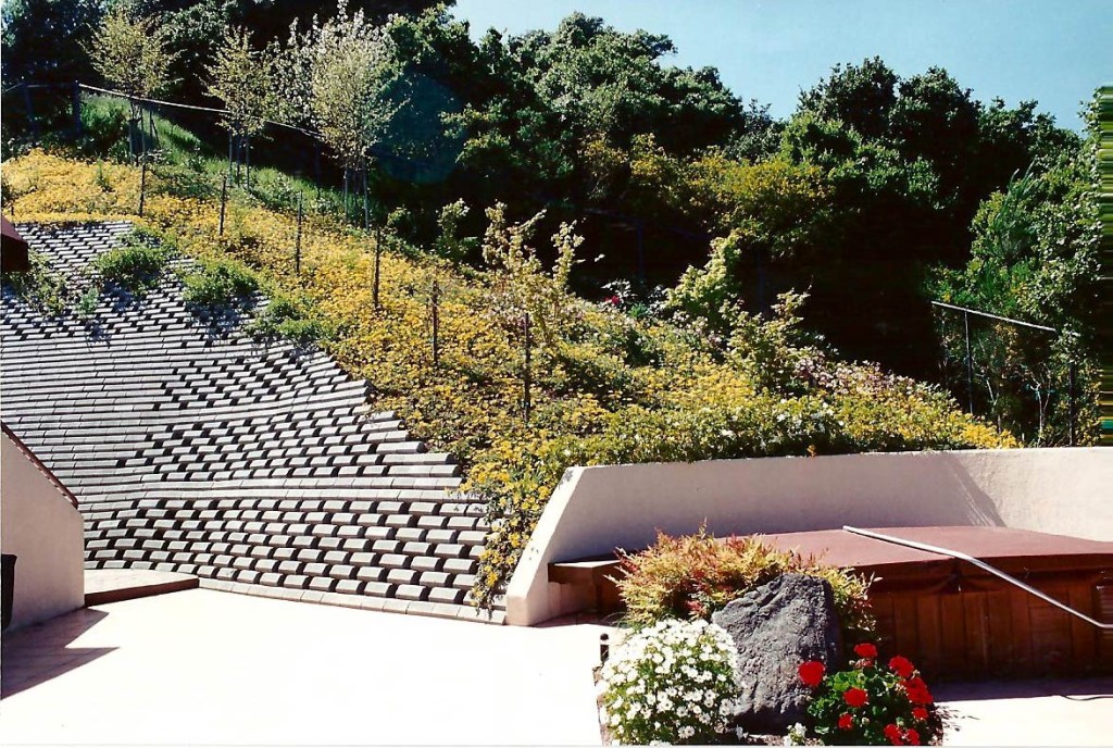 CDPC Landscape Architecture - Ferro Residence